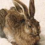 Dürers „Junger Hase“