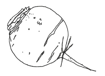 navet-2