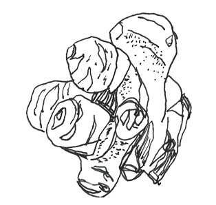 Topinambour